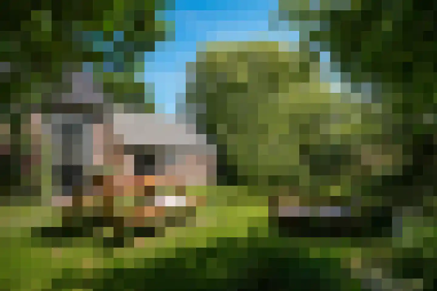 Schoolstraat 19 Well thumbnail 30