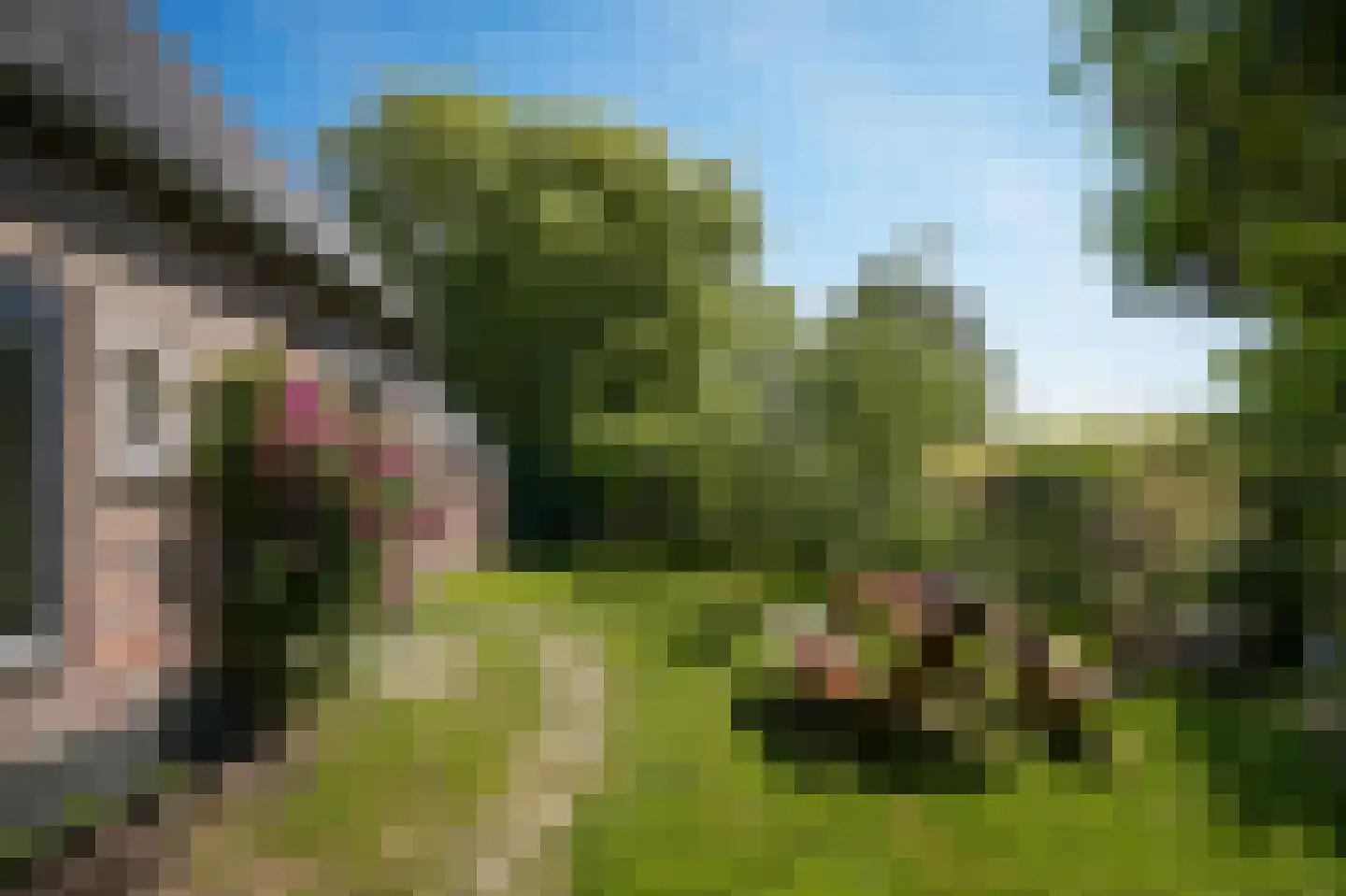 Schoolstraat 19 Well thumbnail 31