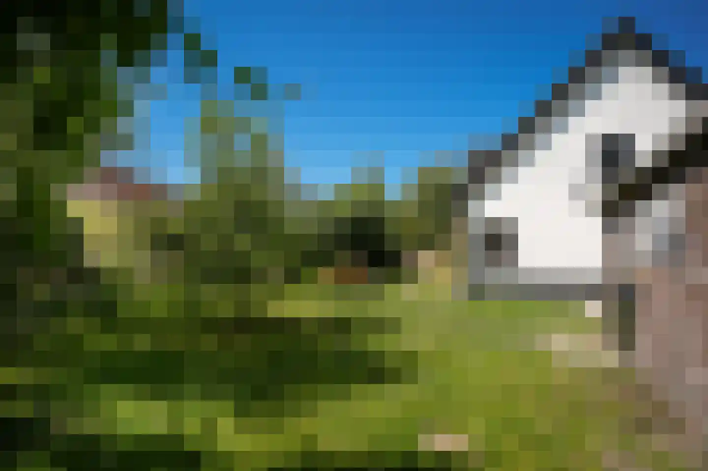 Schoolstraat 19 Well thumbnail 32