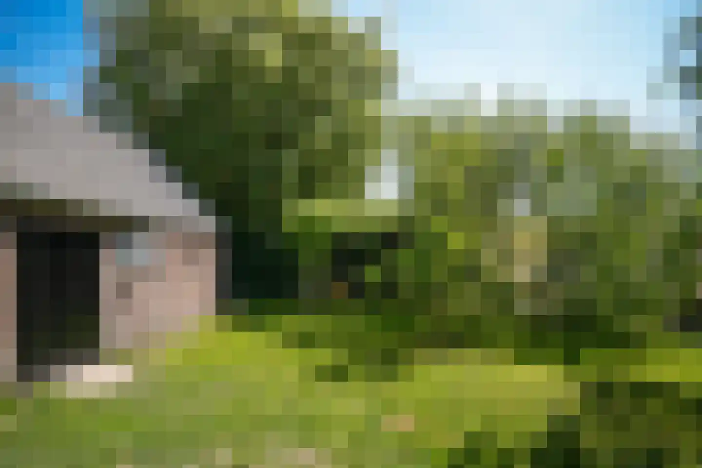 Schoolstraat 19 Well thumbnail 34