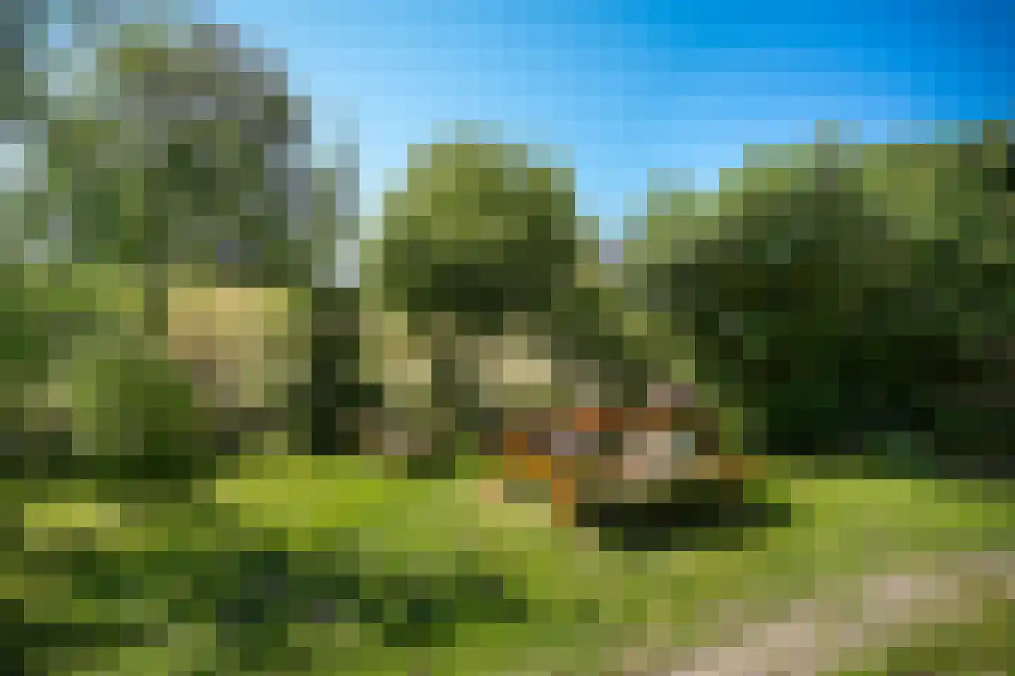 Schoolstraat 19 Well thumbnail 35