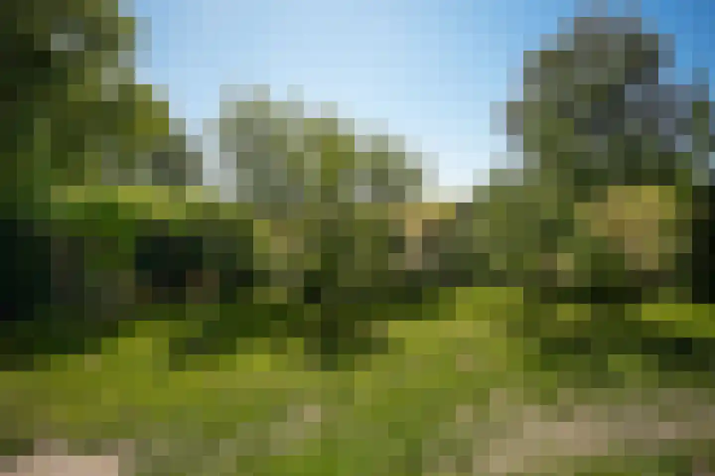 Schoolstraat 19 Well thumbnail 40
