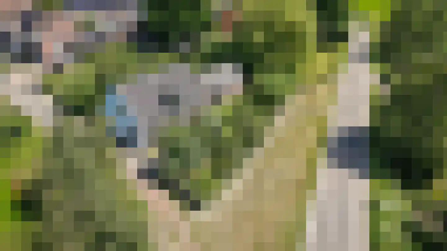 Schoolstraat 19 Well thumbnail 49