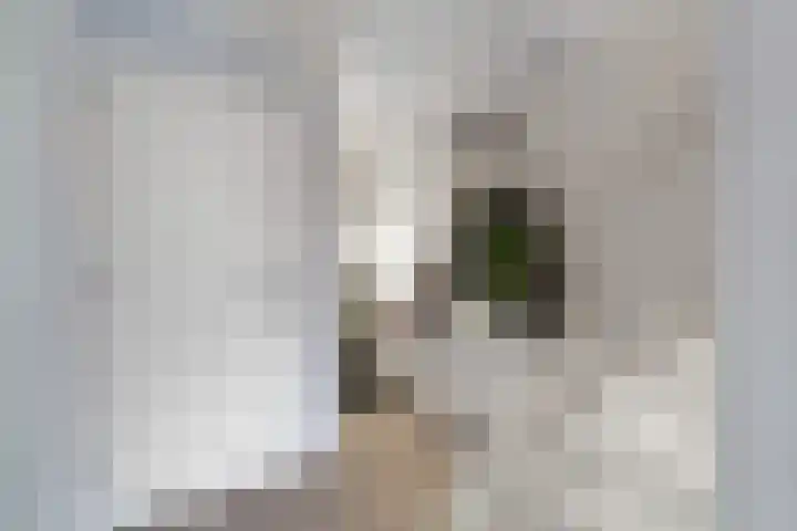 Schoolstraat 19 Woubrugge thumbnail 10