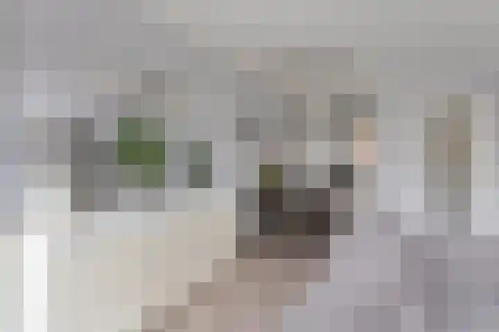 Schoolstraat 19 Woubrugge thumbnail 19