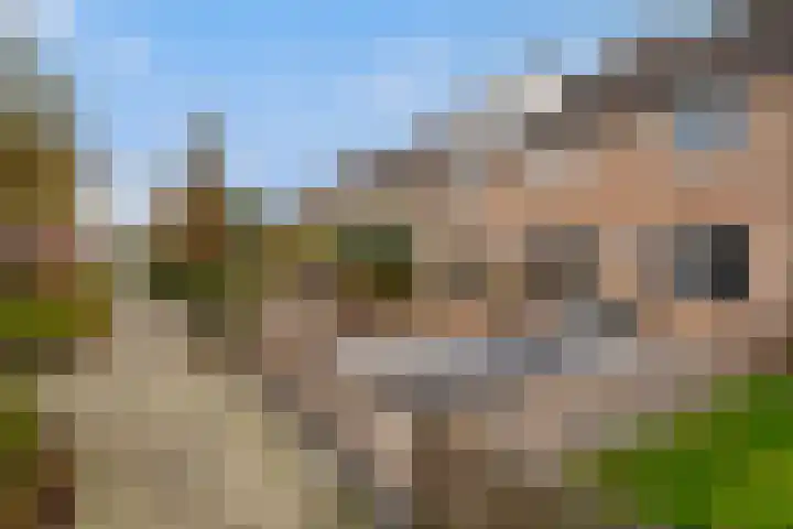 Schoolstraat 19 Woubrugge thumbnail 5