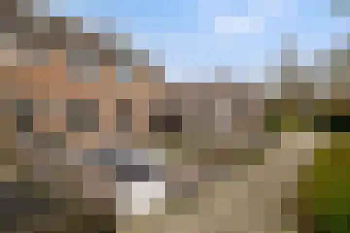 Schoolstraat 19 Woubrugge thumbnail 6