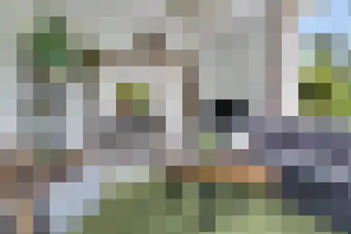 Schoolstraat 2 Bovensmilde thumbnail 10