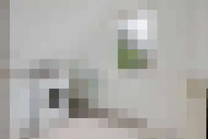 Schoolstraat 2 Bovensmilde thumbnail 31