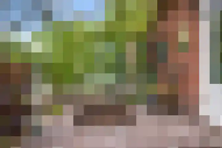Schoolstraat 2 Bovensmilde thumbnail 37