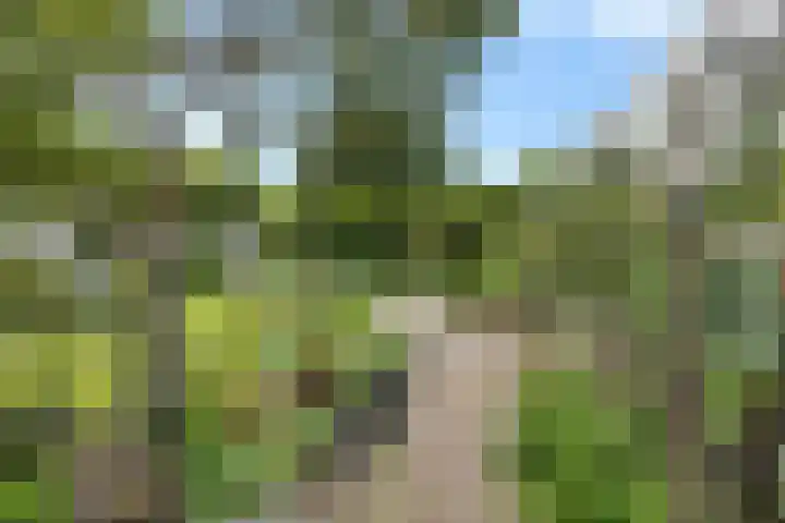 Schoolstraat 2 Bovensmilde thumbnail 41
