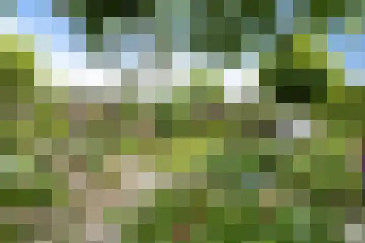 Schoolstraat 2 Bovensmilde thumbnail 43
