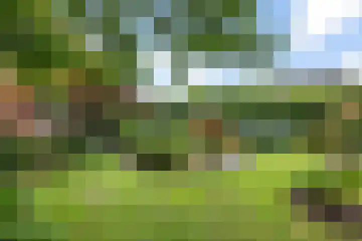 Schoolstraat 2 Bovensmilde thumbnail 44