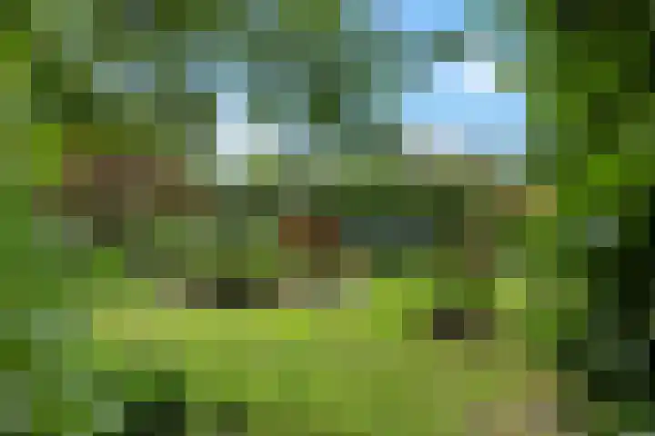 Schoolstraat 2 Bovensmilde thumbnail 45