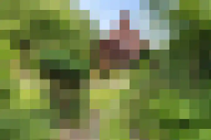 Schoolstraat 2 Bovensmilde thumbnail 47