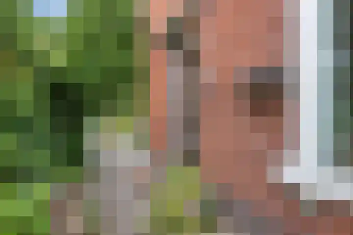 Schoolstraat 2 Bovensmilde thumbnail 5
