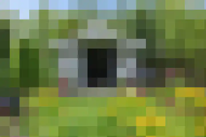 Schoolstraat 2 Bovensmilde thumbnail 50