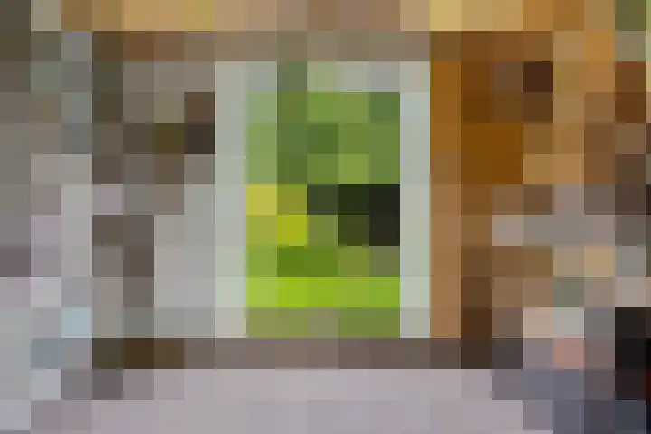 Schoolstraat 2 Bovensmilde thumbnail 51