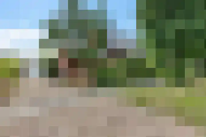 Schoolstraat 2 Bovensmilde thumbnail 60