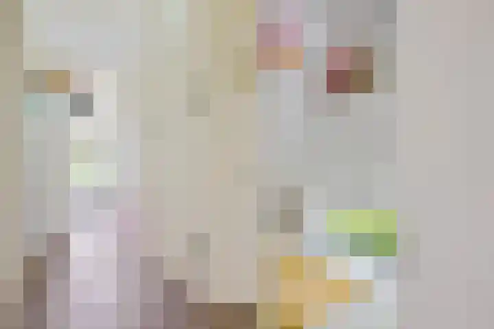 Schoolstraat 2 Bovensmilde thumbnail 7