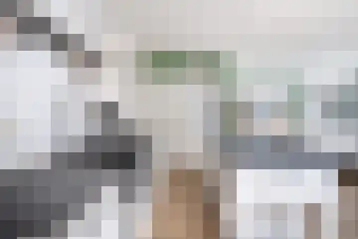 Schoolstraat 2 De Wilp thumbnail 12