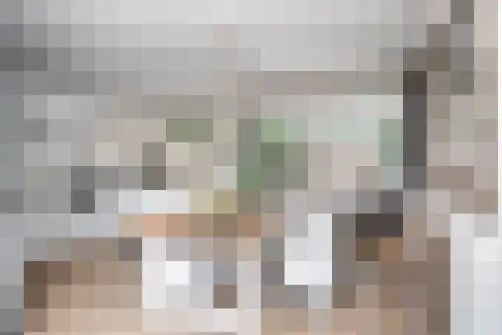 Schoolstraat 2 De Wilp thumbnail 13
