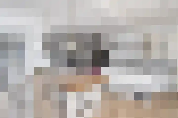 Schoolstraat 2 De Wilp thumbnail 15