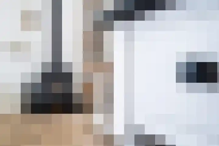 Schoolstraat 2 De Wilp thumbnail 16