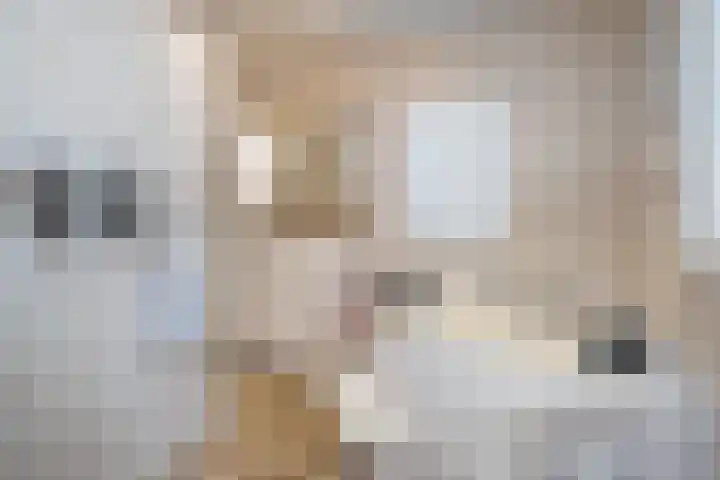 Schoolstraat 2 De Wilp thumbnail 27