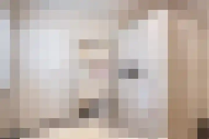 Schoolstraat 2 De Wilp thumbnail 29