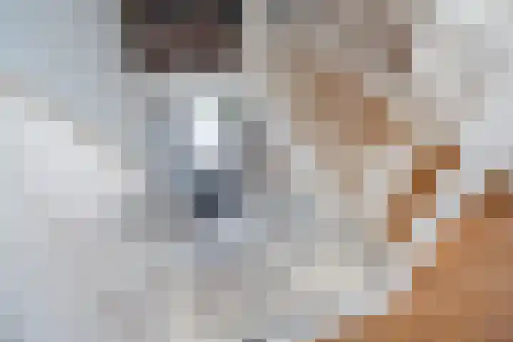 Schoolstraat 2 De Wilp thumbnail 30