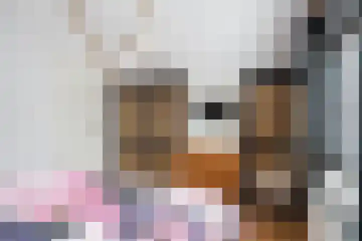 Schoolstraat 2 De Wilp thumbnail 33