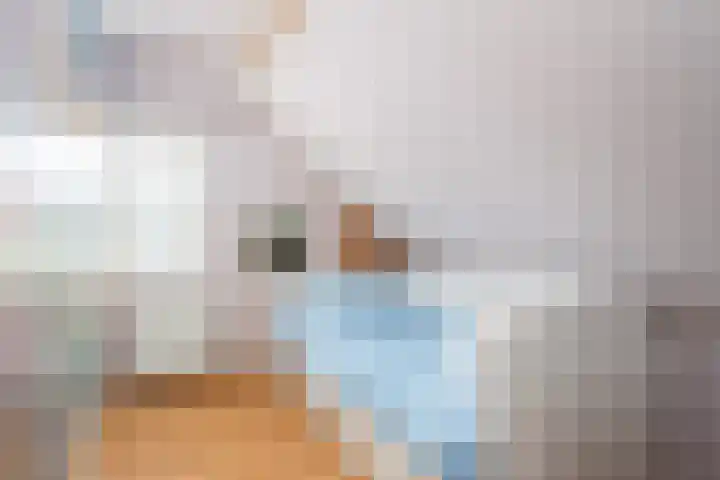 Schoolstraat 2 De Wilp thumbnail 35