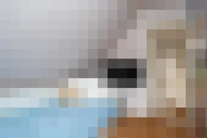 Schoolstraat 2 De Wilp thumbnail 36