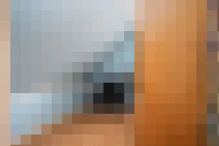 Schoolstraat 2 De Wilp thumbnail 37