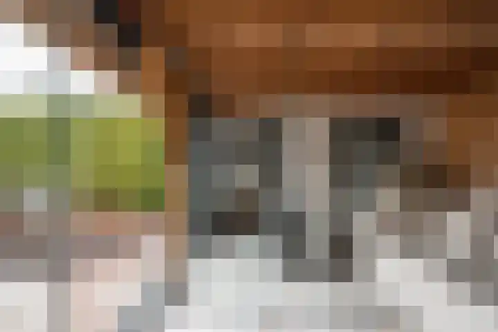 Schoolstraat 2 De Wilp thumbnail 43
