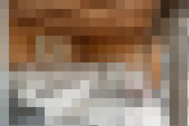 Schoolstraat 2 De Wilp thumbnail 44