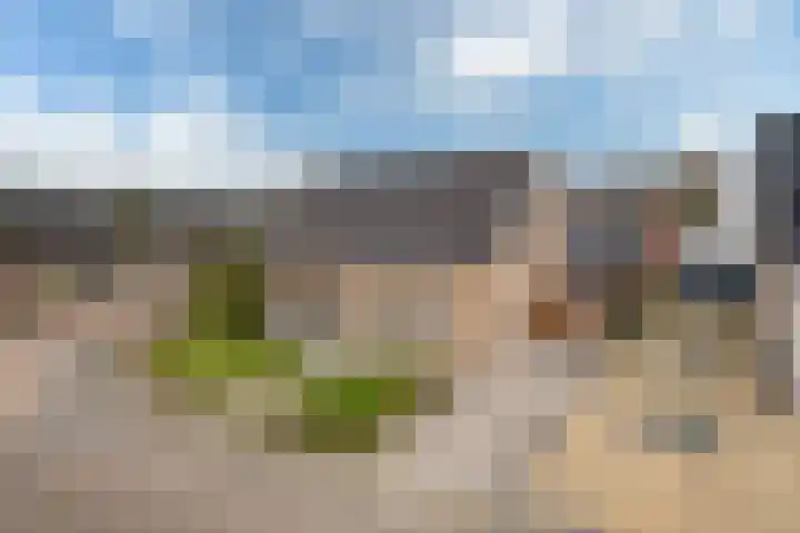 Schoolstraat 2 De Wilp thumbnail 5