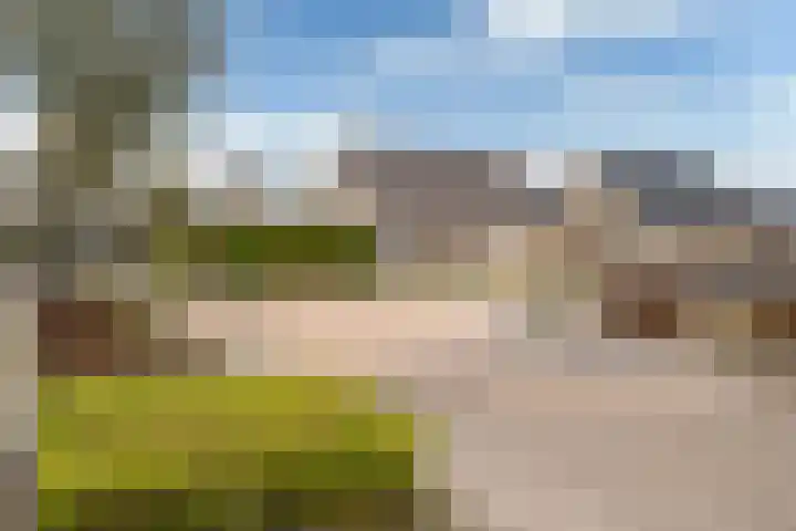 Schoolstraat 2 De Wilp thumbnail 6