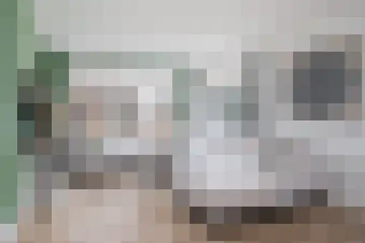 Schoolstraat 2 De Wilp thumbnail 9