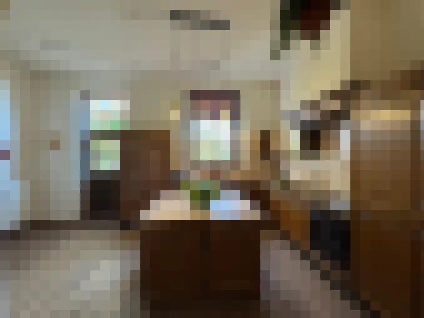 Schoolstraat 2 Hoofdplaat thumbnail 16