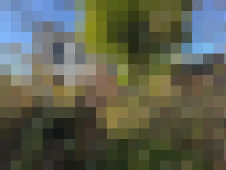 Schoolstraat 2 Hoofdplaat thumbnail 18