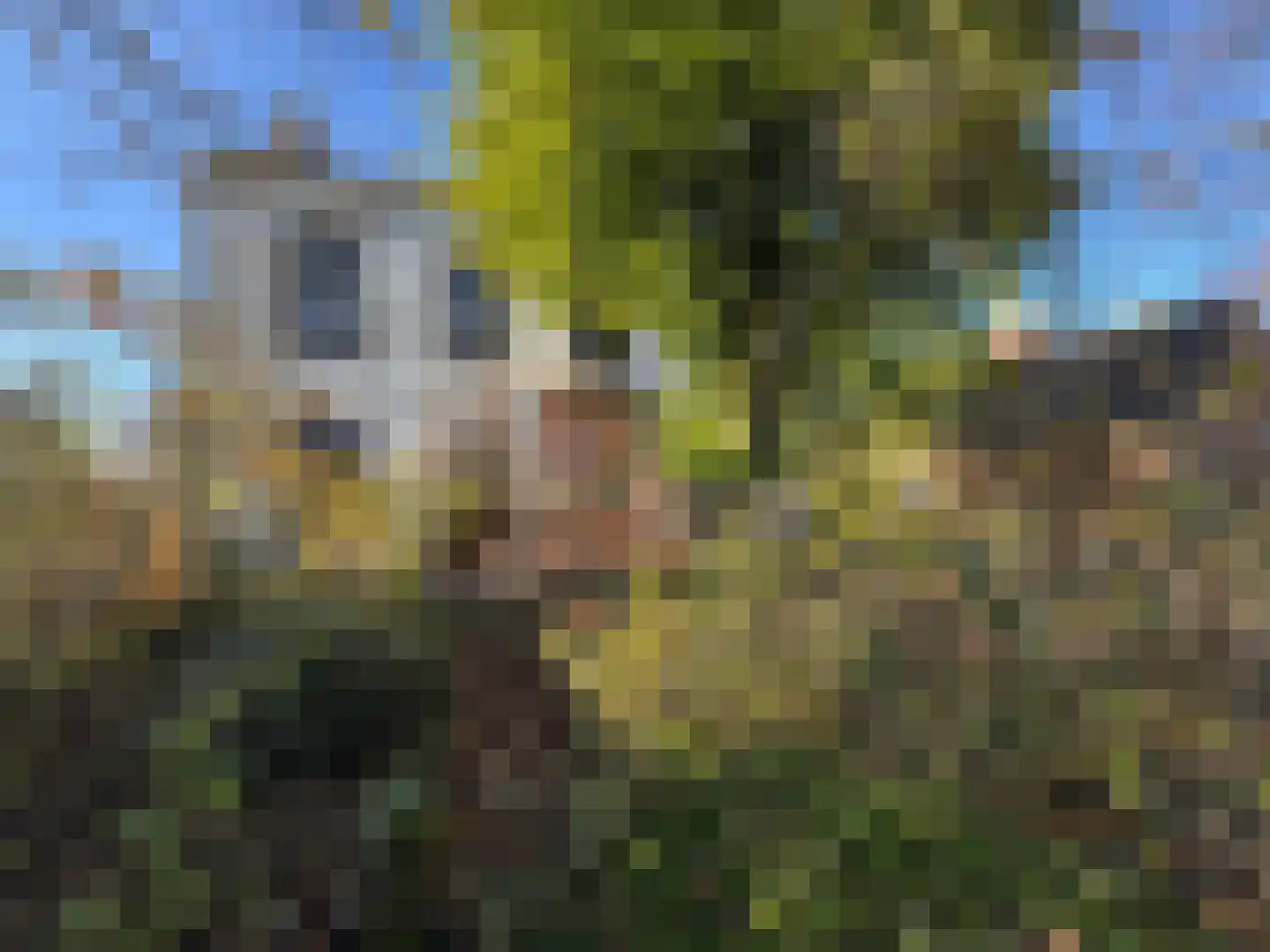 Schoolstraat 2 Hoofdplaat thumbnail 18