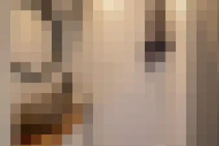 Schoolstraat 2 Krimpen aan de Lek thumbnail 13