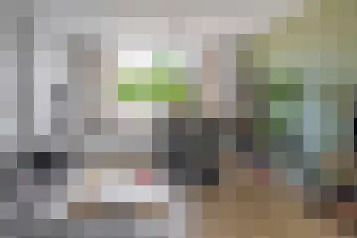 Schoolstraat 2 Krimpen aan de Lek thumbnail 16