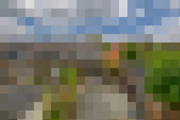 Schoolstraat 2 Krimpen aan de Lek thumbnail 24