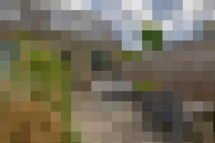 Schoolstraat 2 Krimpen aan de Lek thumbnail 25