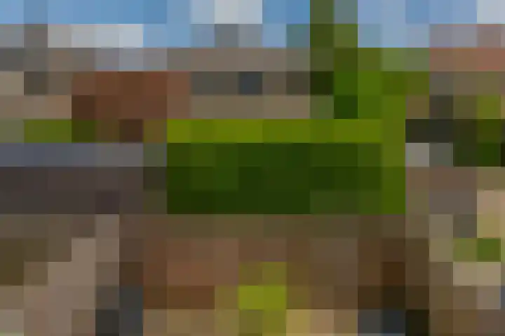Schoolstraat 2 Krimpen aan de Lek thumbnail 35