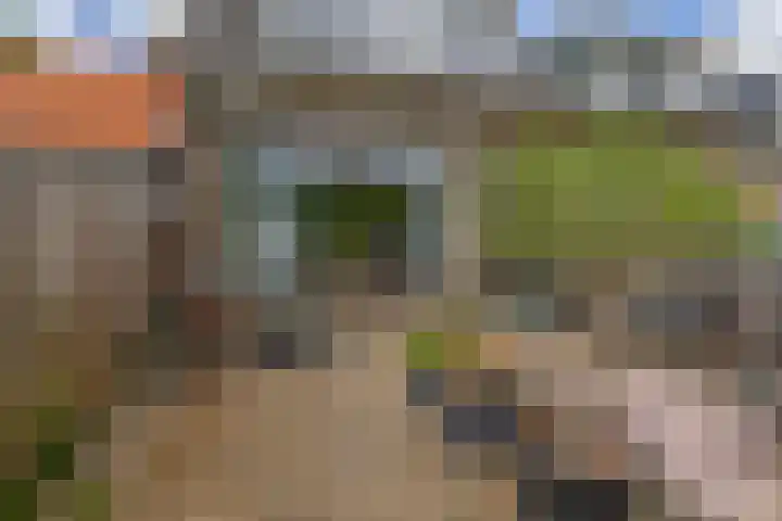 Schoolstraat 2 Krimpen aan de Lek thumbnail 6