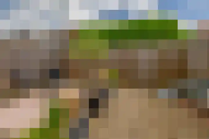 Schoolstraat 2 Krimpen aan de Lek thumbnail 7